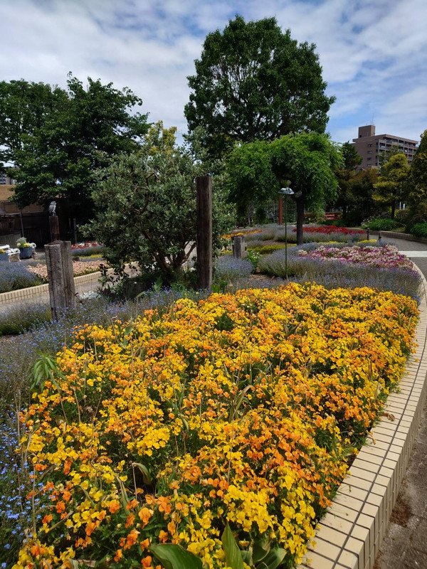 https://i.postimg.cc/0ygKY7fn/rose-garden6.jpg