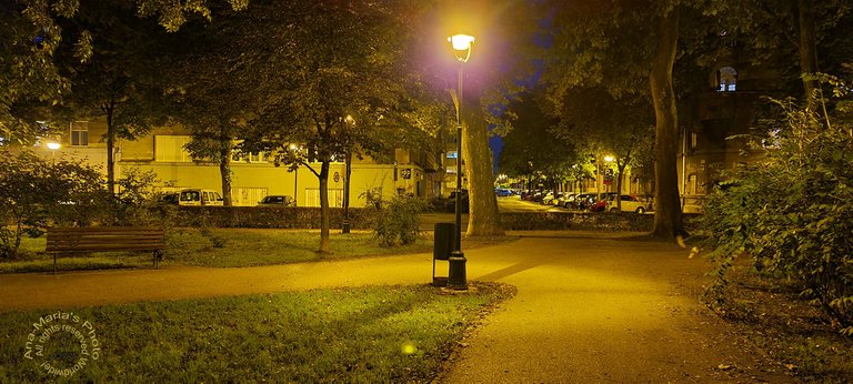 Early summer evening in the park