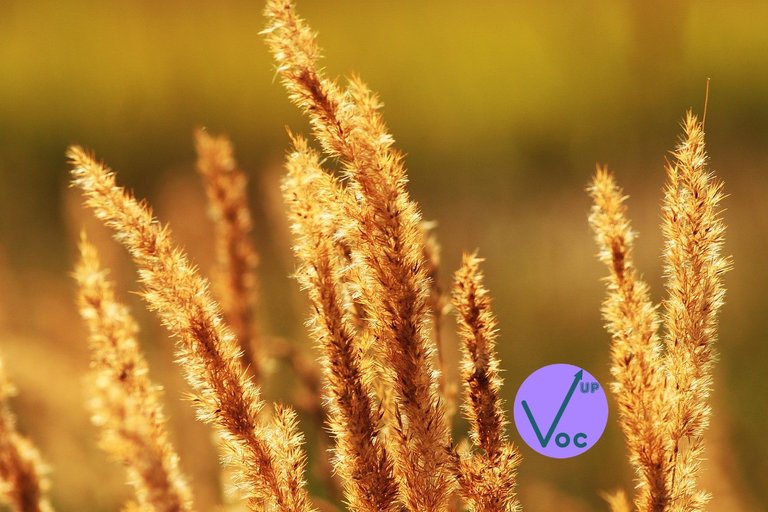 Rewards for August 2025