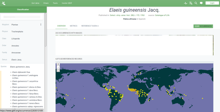 View of the GBIF.org website in the species search