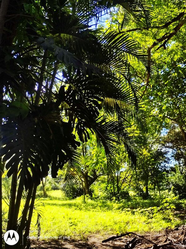 A beautiful walk through the property in the company of my grandparents