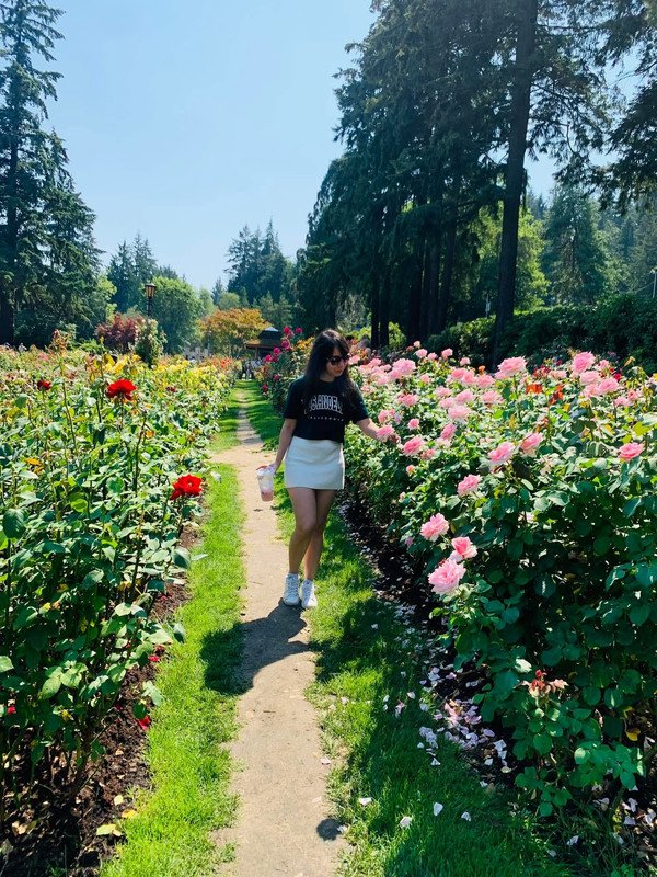 🌸 Lost in a Garden of Colors