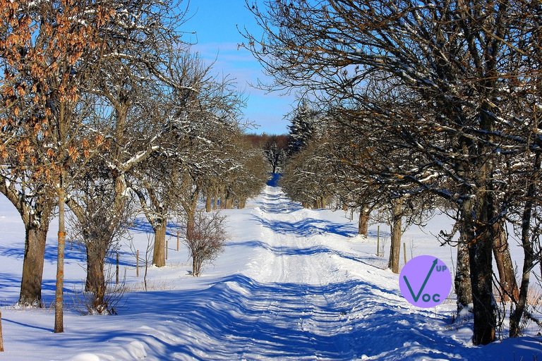 Report of Rewards for January 2026 & HivePUD February