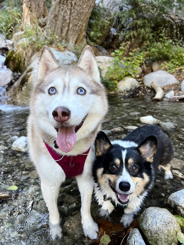 Kuma-Titan