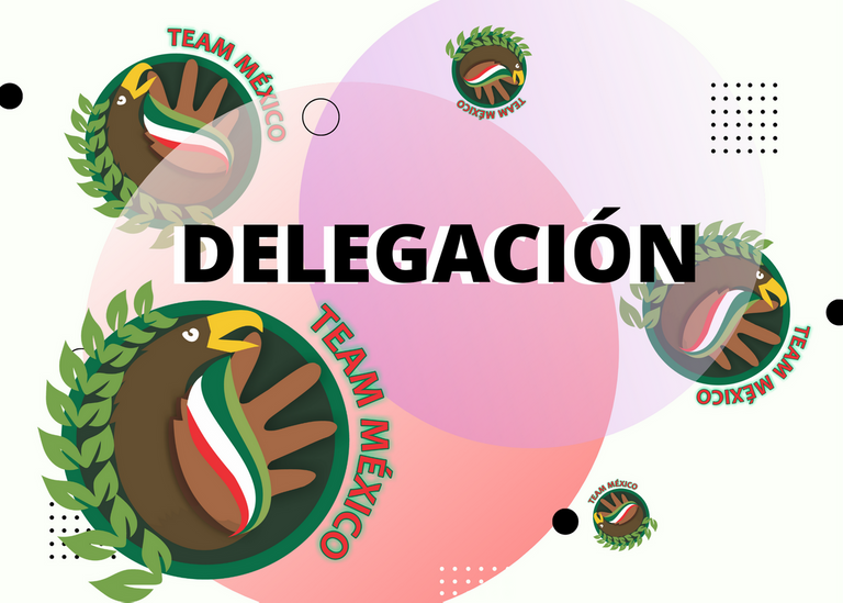 Delega a @team-mexico