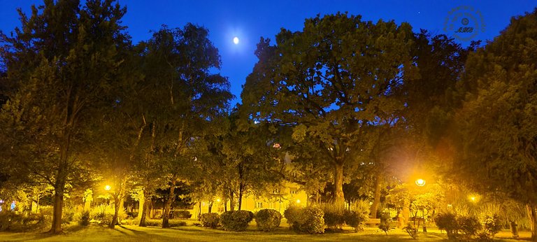 Evening in the park