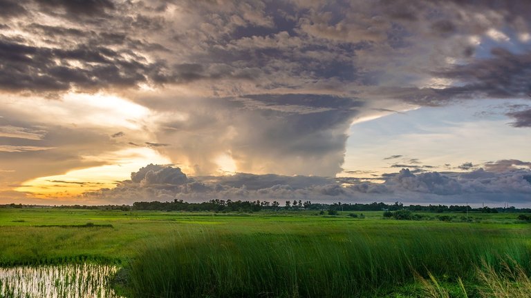 Nature-Whirl-Landscape