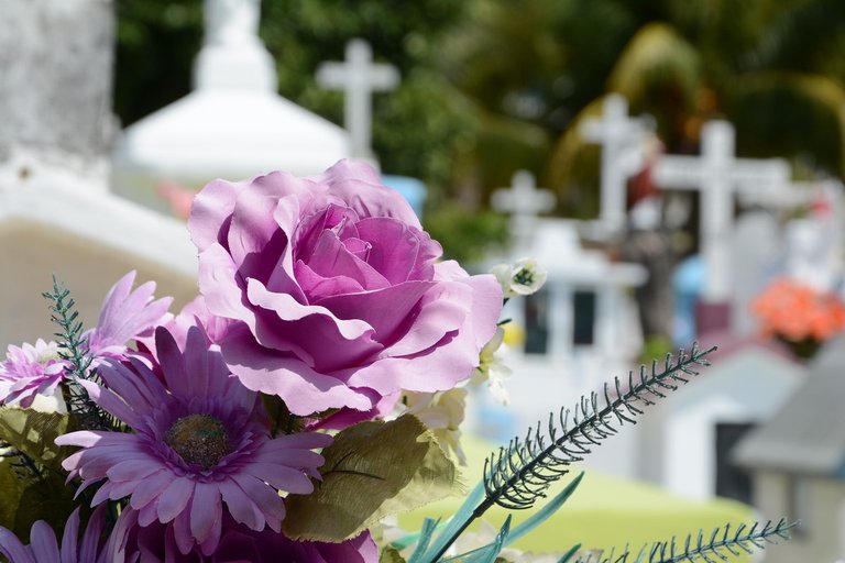 cemetery and flowers