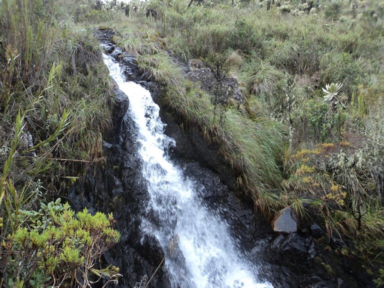 Fotografia-de-cascada