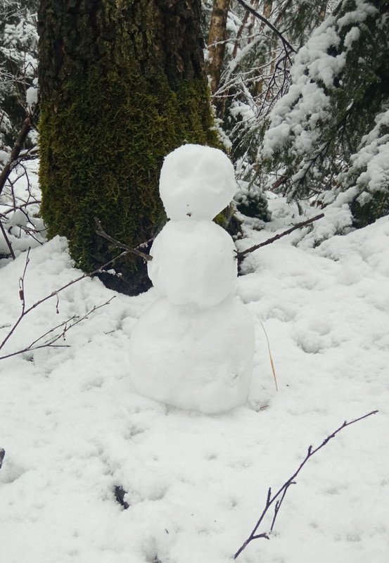 Ein Minischneemann bauen