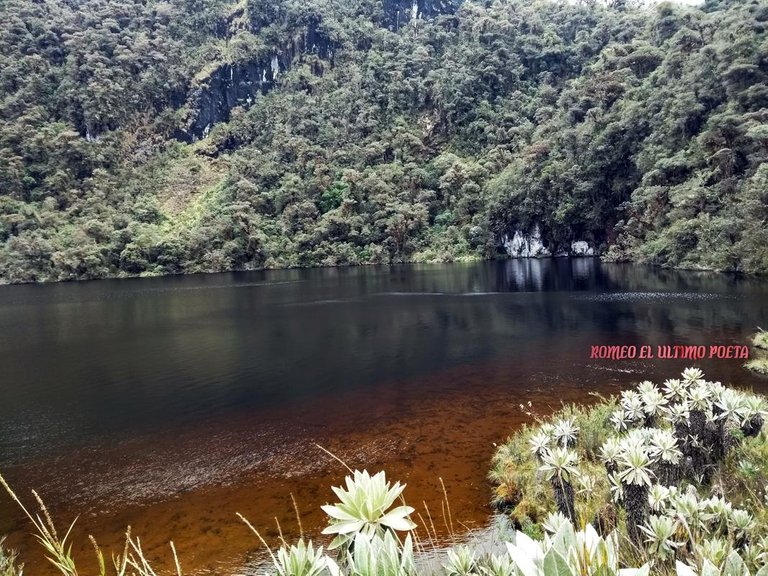 PARAMOS-CICLO-DEL-AGUA