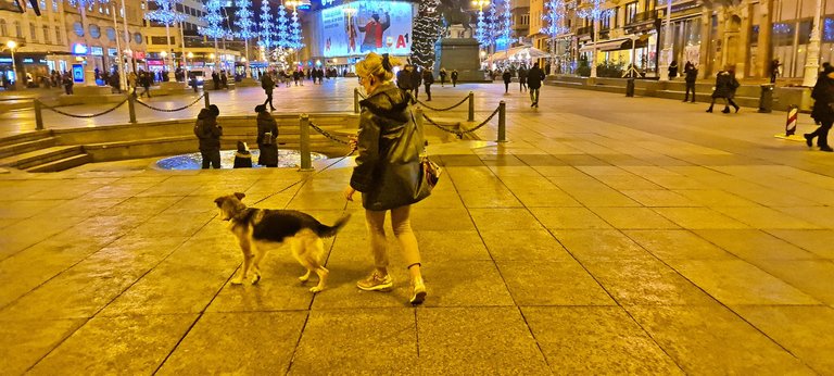 Zagreb's Main Square at Night - Manduševac Fountain