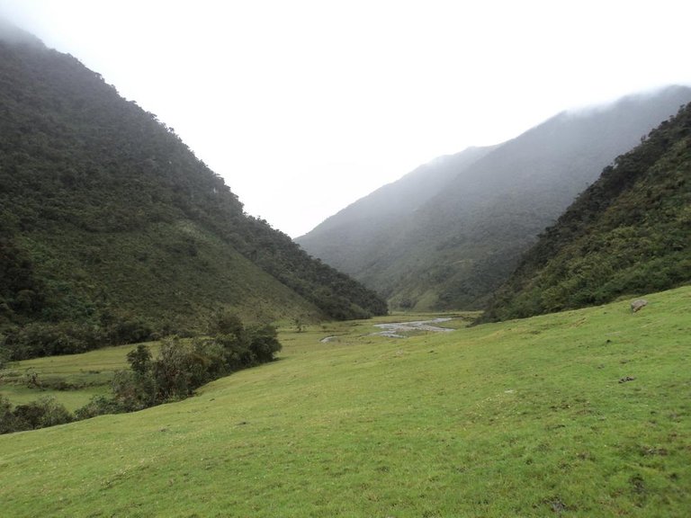 Nieblina-en-potrero