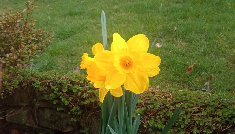 Ein kleiner Osterspaziergang