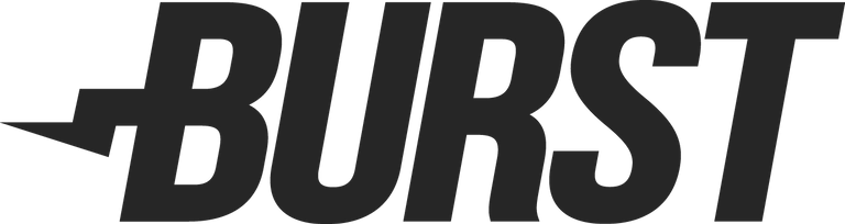 Burstcoin Logo