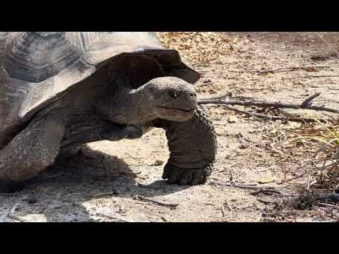 A Week in the Galapagos Islands