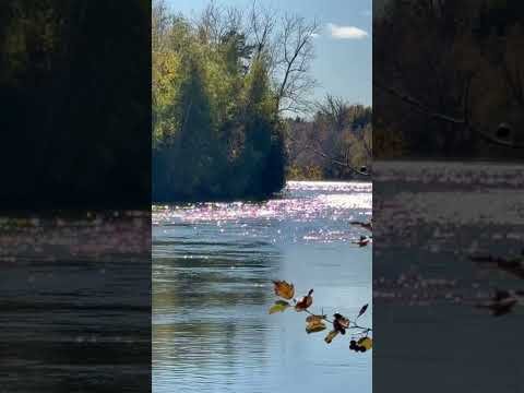 Autumn on the Rideau River #rideau #ontario #autumn #canada