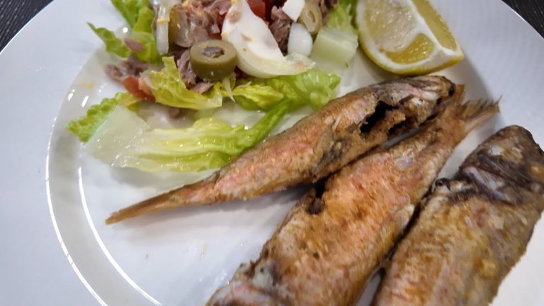 Daniel’s Cervecería Menu del Día in Valencia - Food Blog