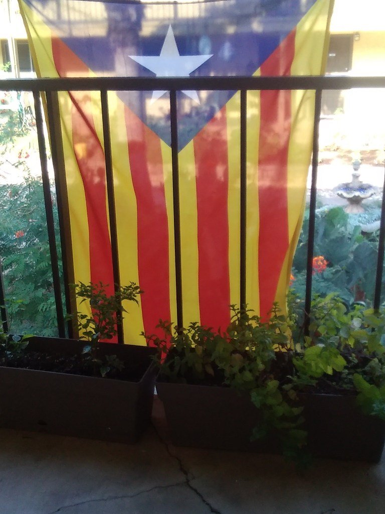 Catalans to celebrate their national day with independence protests