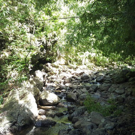 A Creek Peek
