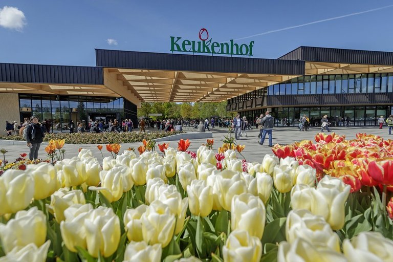 Keukenhof 1