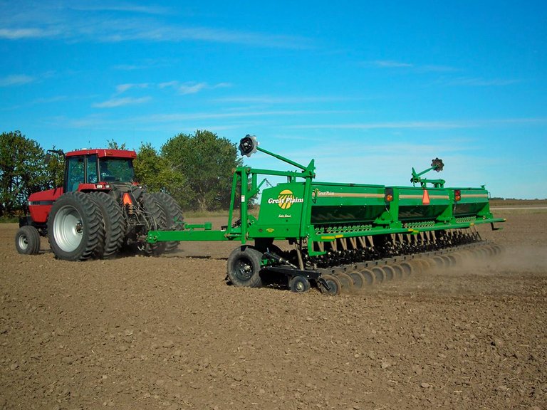 Wheat planting