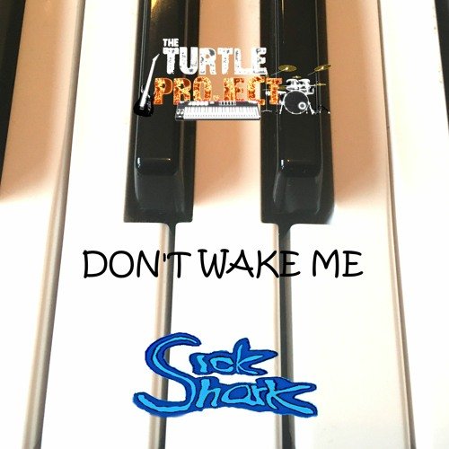 Don`t Wake Me (feat. The Turtle Project) (Piano mix) by Sick Shark