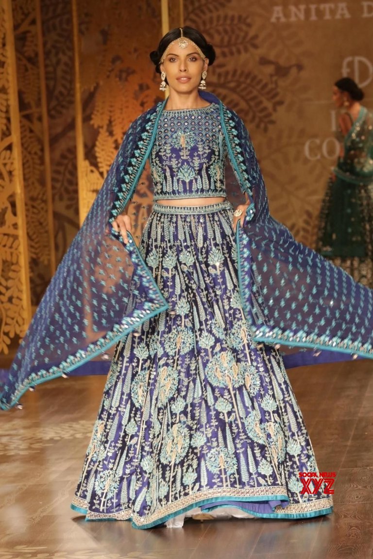 New Delhi: India Couture Week 2017   Anita Dongre