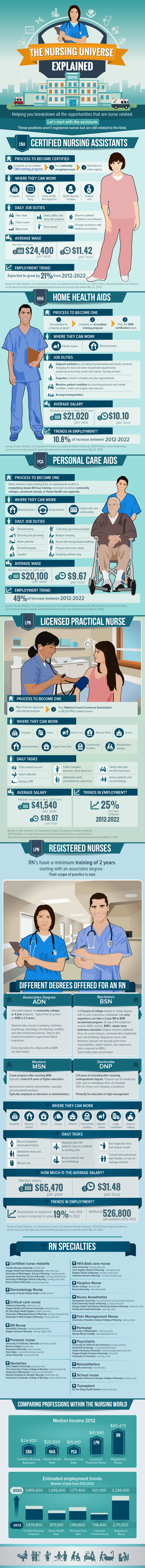 nursing universe explained