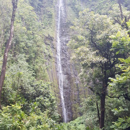 Waimoku Falls