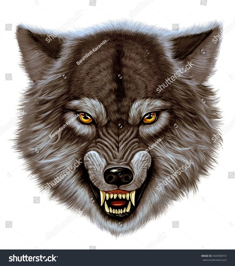 https://i3.wp.com/image.shutterstock.com/z/stock-photo-angry-wolf-head-white-background-404358910.jpg