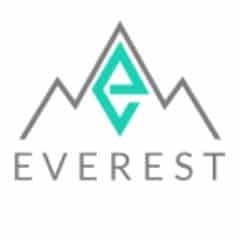 Image result for everest ico