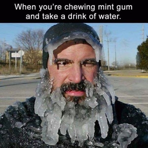 This_makes_me_laugh_all_day_413_10