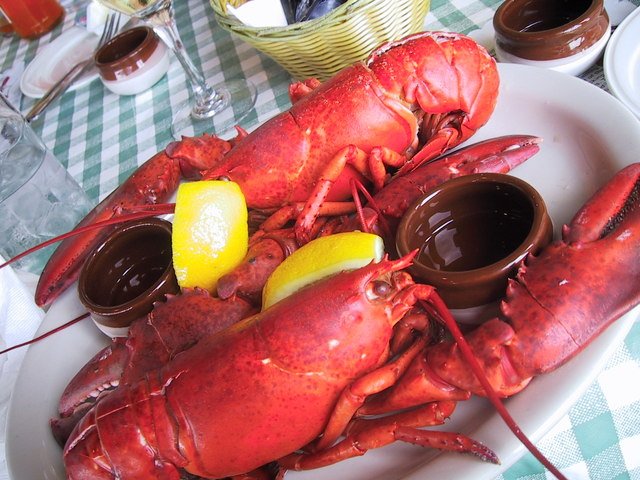lobster_for_my_supper_1552505_640x480
