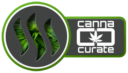 Canna_Curate_winner_bygrow_pro5