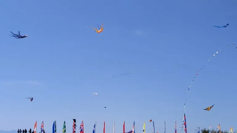 Dancing in the Wind