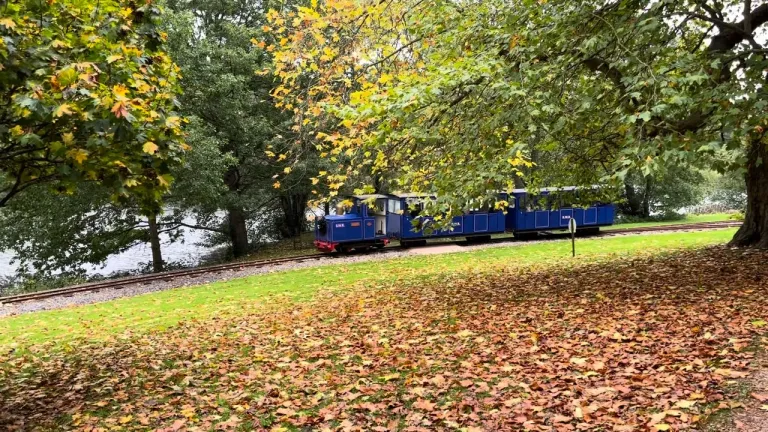 Bicton Woodland Railway (BWR)
