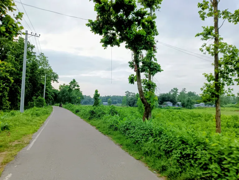 A Beautiful Journey into the Heart of Quiet Nature!