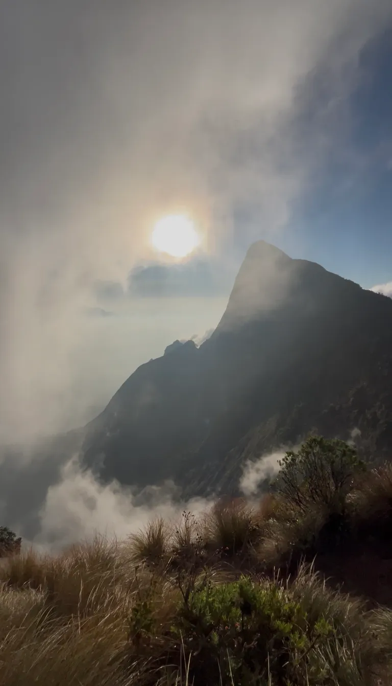 Kolukkumalai ❤️ sunrise 🌅 