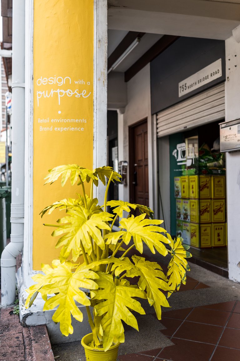 yellow plant-1.jpg