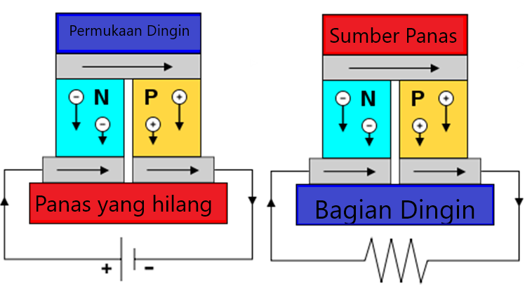 Illustrasi-Seedbeck-Effect.png