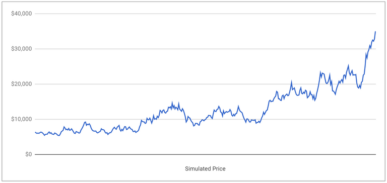Simulated Price for One Year