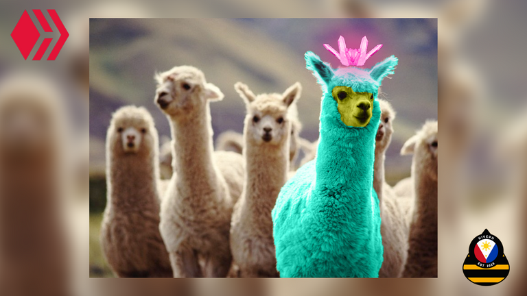 llama.png