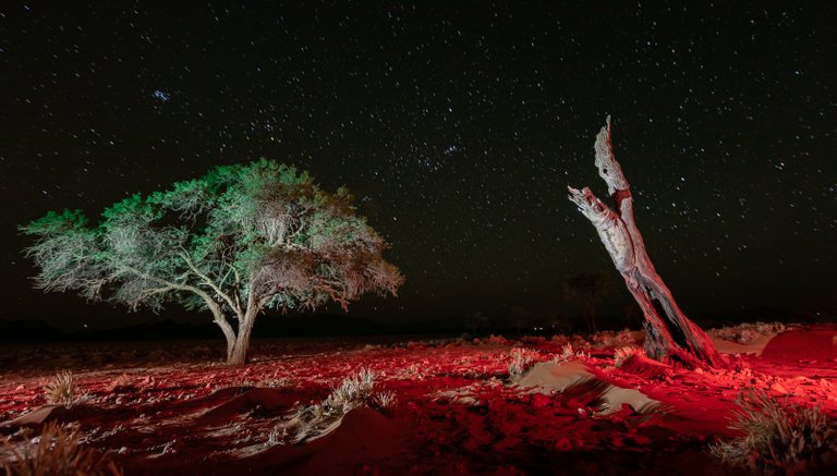 2017_10_14_26_namibia_955_lr_2.jpg