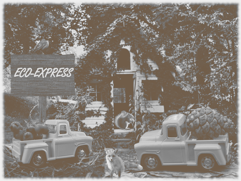 Eco-Express: Delivering nature where you need it!. Let's Make a Collage #232  (ESP/ENG)