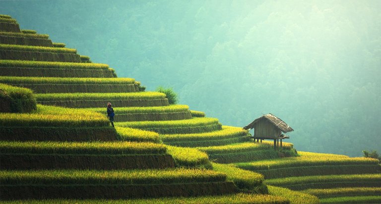 WHY TAKING A GAP YEAR ENCOURAGES GROWTH.