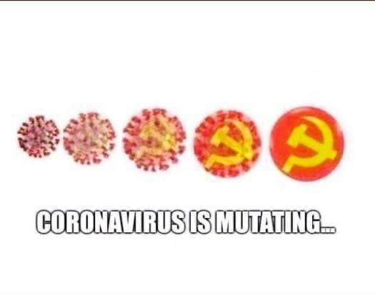 _5037363934146963848_120.jpg