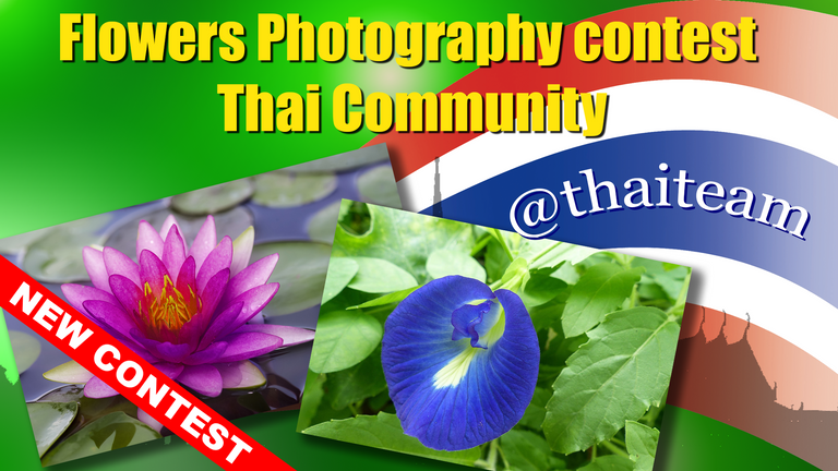 flower_photography_contest_3.png