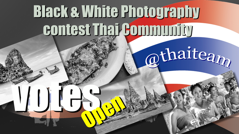 black_white_photography_contes_votest21.png