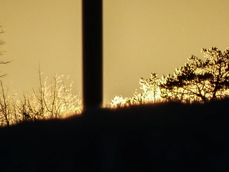 p1310151_edited.jpg